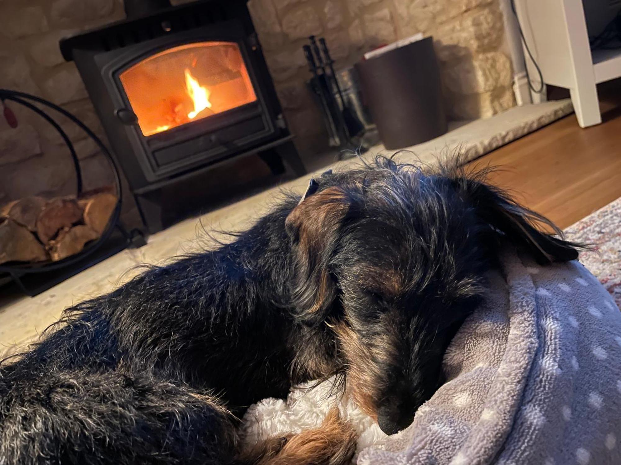 Cosy Cotswold Lodge By Your Home Here - Summer Sale For 3 Plus Nights - Ideal For Families With Log-Burner, Spa, Private Parking And Heated Swimming Pools Ashton Keynes Luaran gambar
